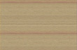 Light Brown 02