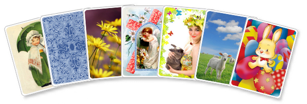 Card Backs